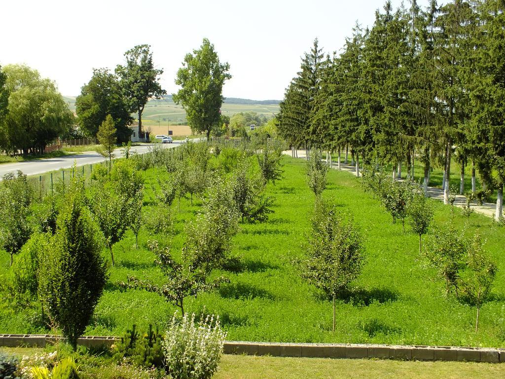 Motel Vector Găeşti المظهر الخارجي الصورة